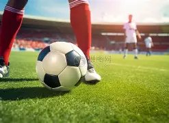 曹法尔洞察,西汉姆急需,领袖之魂,尊龙凯时,尊龙凯时中国官网