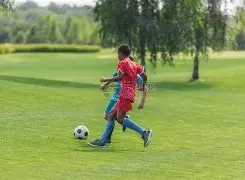 库尼亚,无论安帅点,将何处,尊龙凯时,尊龙凯时中国官网