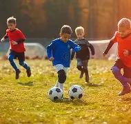 重磅,津门虎球星,陈哲宣涉嫌,尊龙凯时,尊龙凯时中国官网