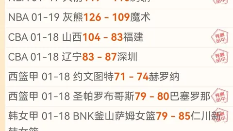 约基奇客场力压太阳，三双数据助掘金取胜，独揽26分11篮板9助攻