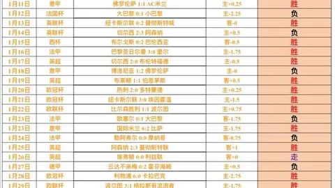 多特蒙德主场击败海登海姆